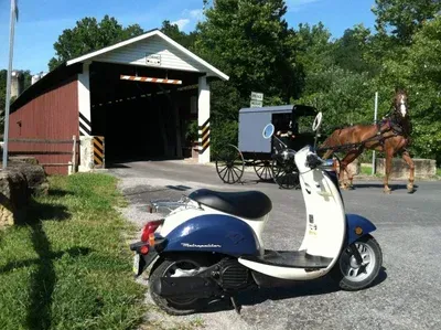 Strasburg Scooter Rides
