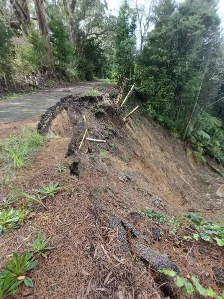 A road that has been damaged by a landslide in the woods.