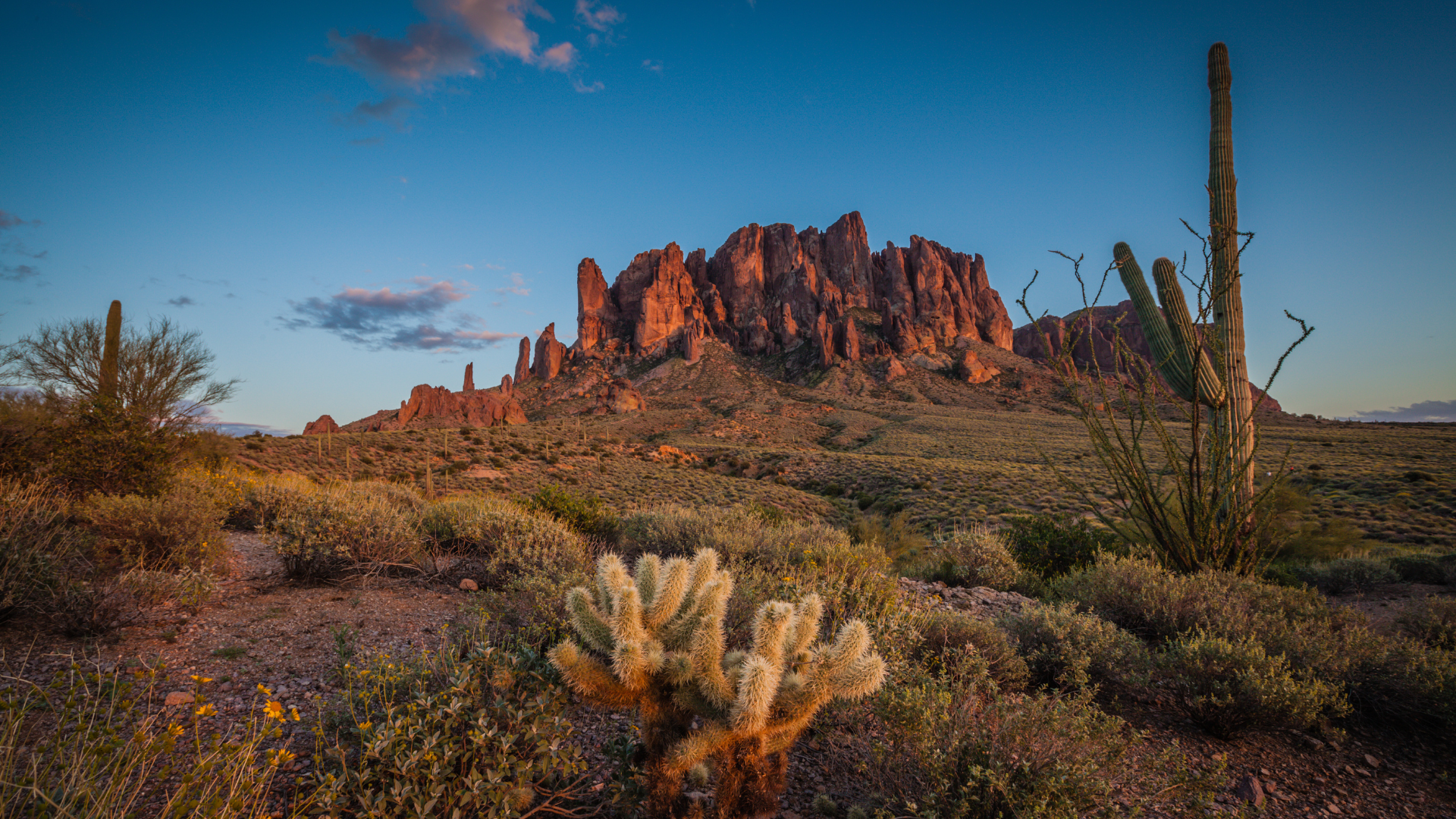 Desert landscape with a rugged mountain range at sunset. Saguaro cacti and desert flora are in the foreground under a blue sky.