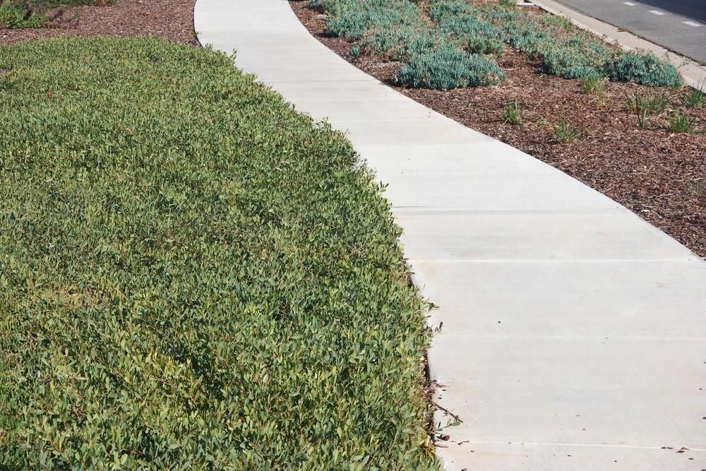 A concrete walkway going through a lush green field