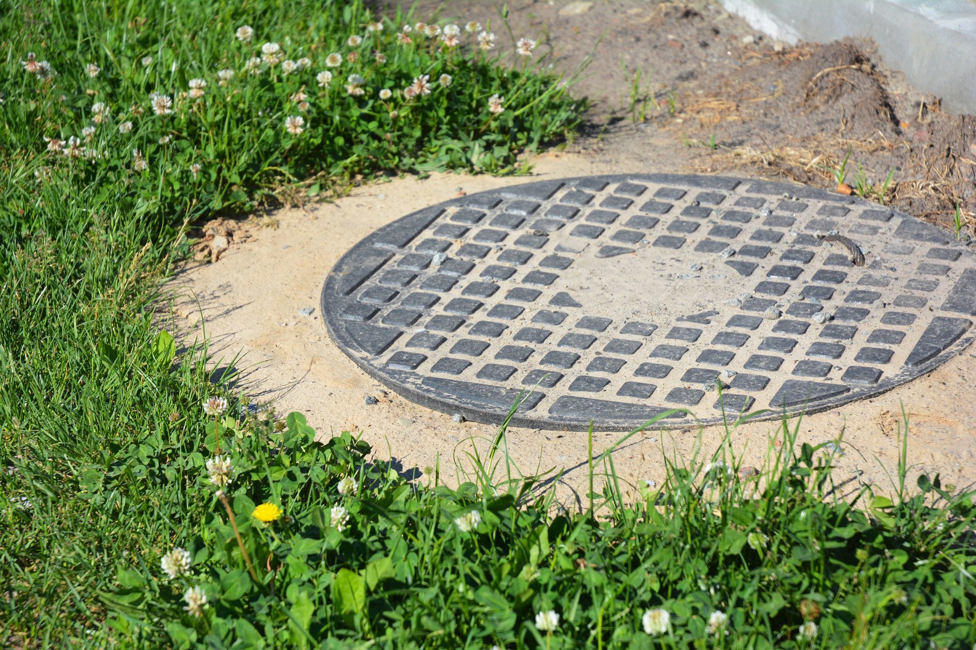 Manhole cover in the grass.