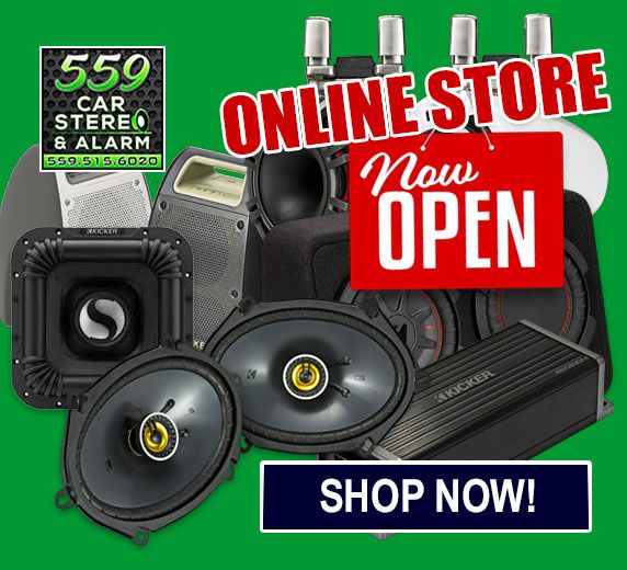 Car Audio Store