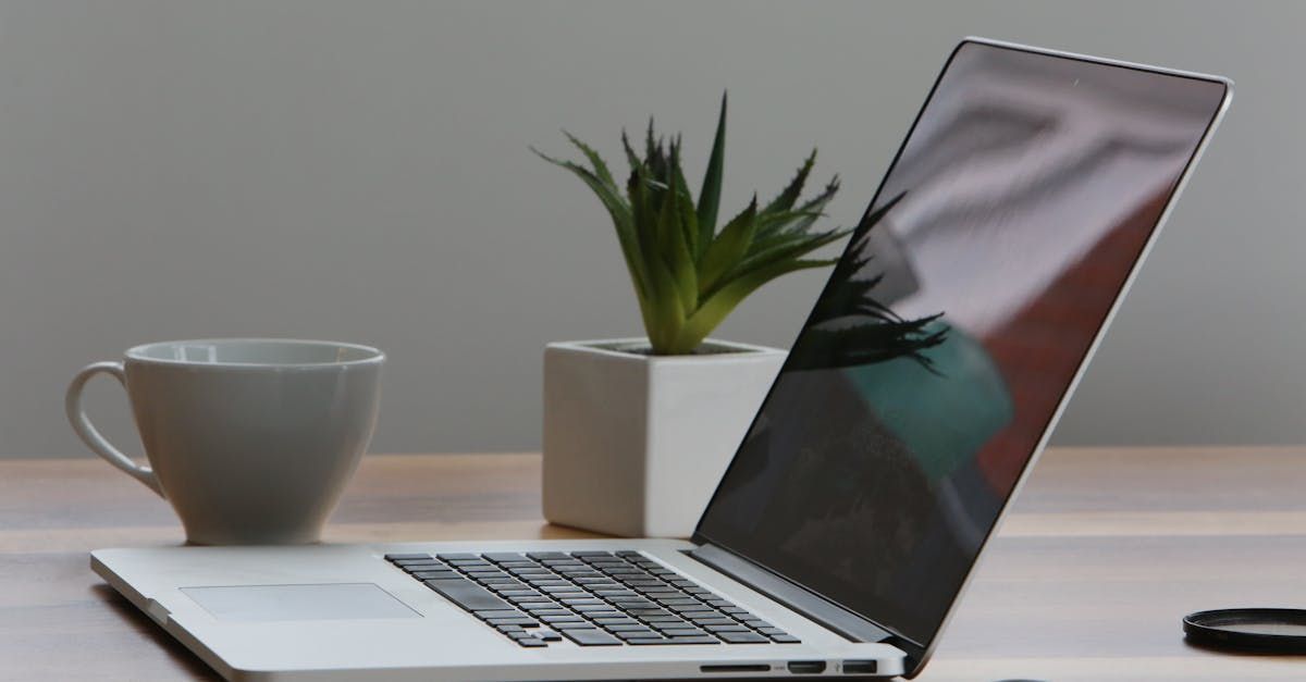 A laptop is open on a desk next to a cup of coffee and a potted plant.