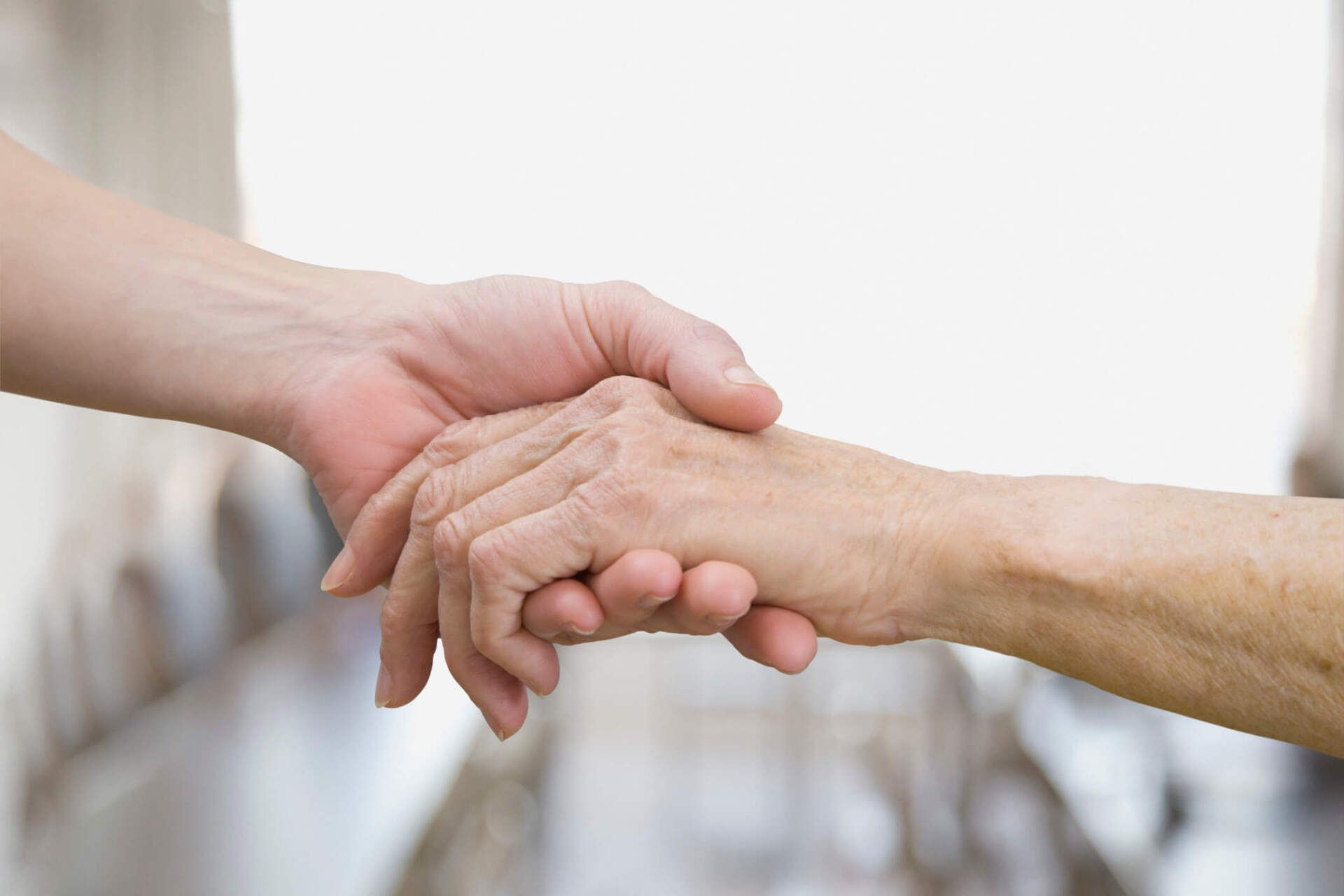 servizio di assistenza