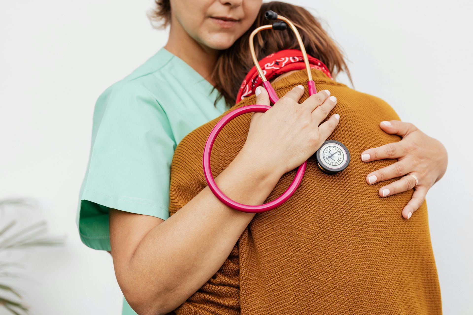 Cane sdraiato a terra di fianco al volantino della onlus di badanti a Talenti, Roma