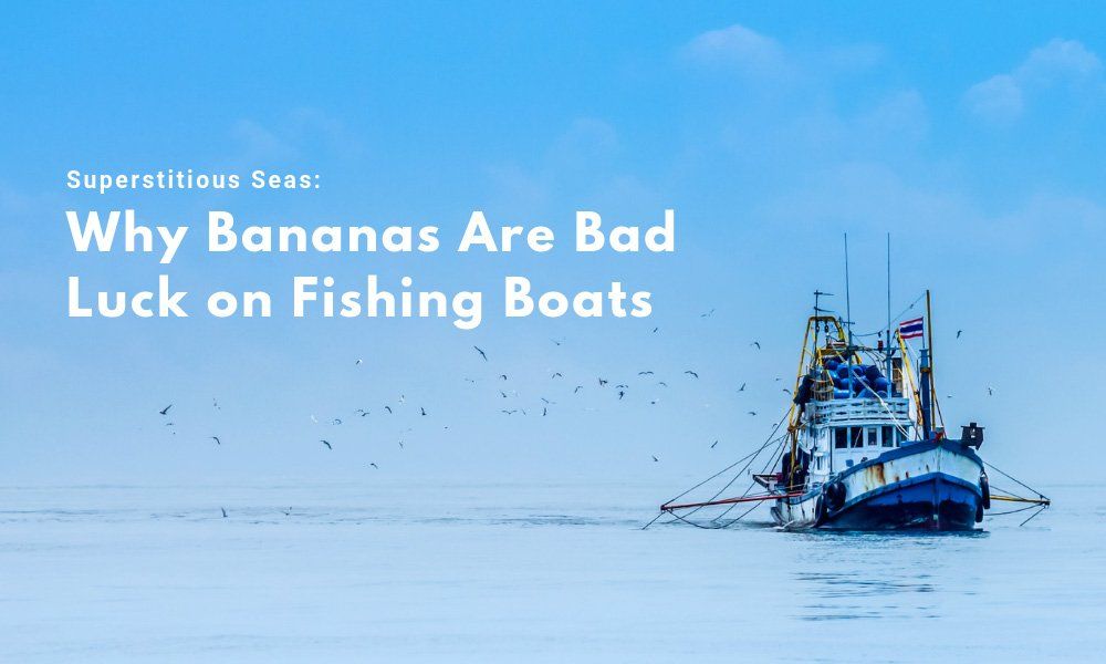 Why Bananas Are Bad Luck on Fishing Boats
