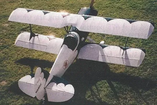 Biplane with white and blue wings on a grassy field.