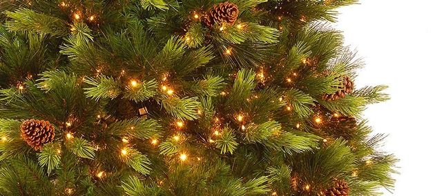 Christmas Trees | Harrow's Serving Long Island & Paramus, Nj