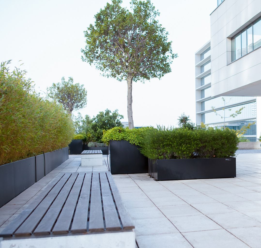 Eine Holzbank steht vor einem Baum in einem Pflanzgefäß