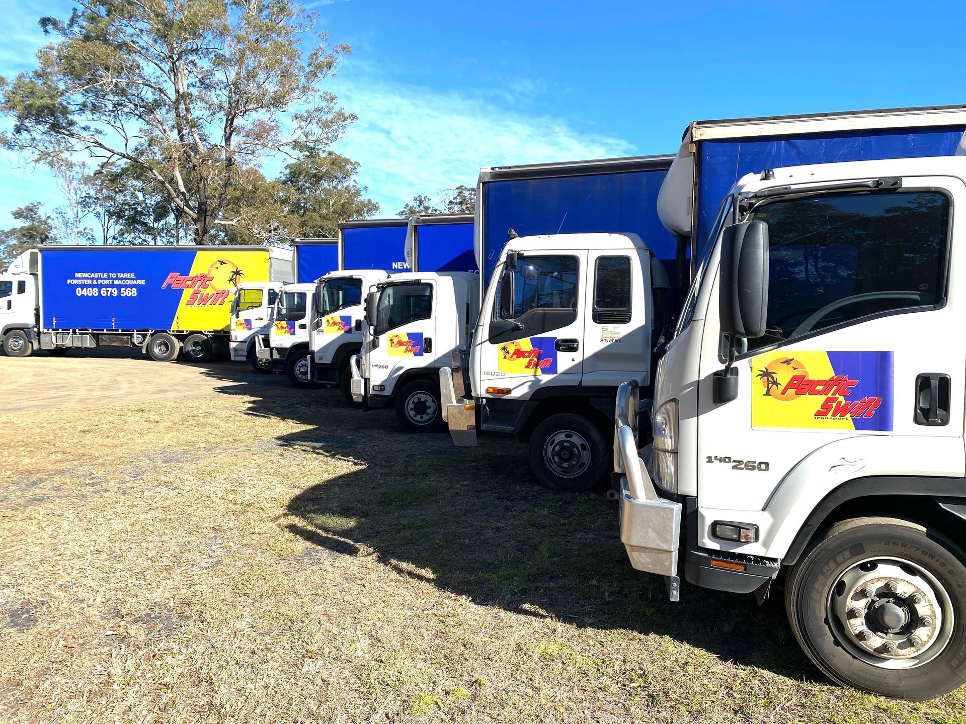 Parked Blue Yellow And White Trucks — Professional Transport in Taree, NSW