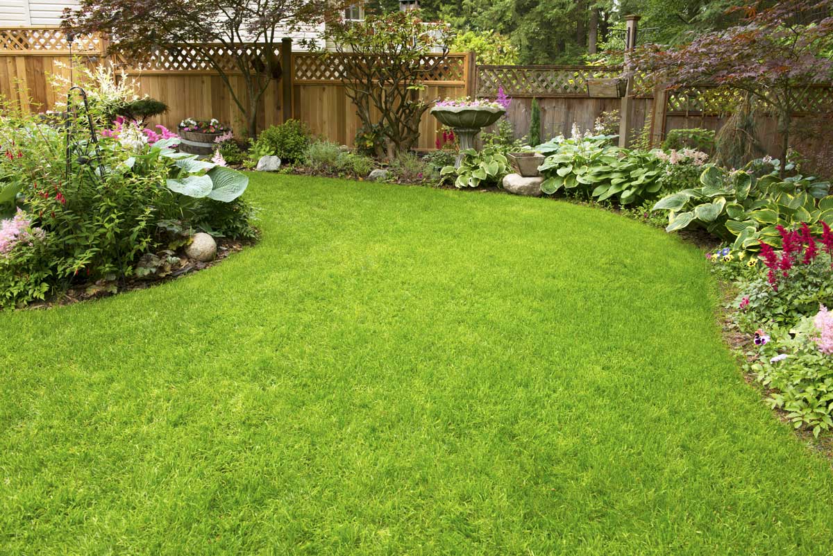 Home Garden. Residential garden transitioning spring to summer.