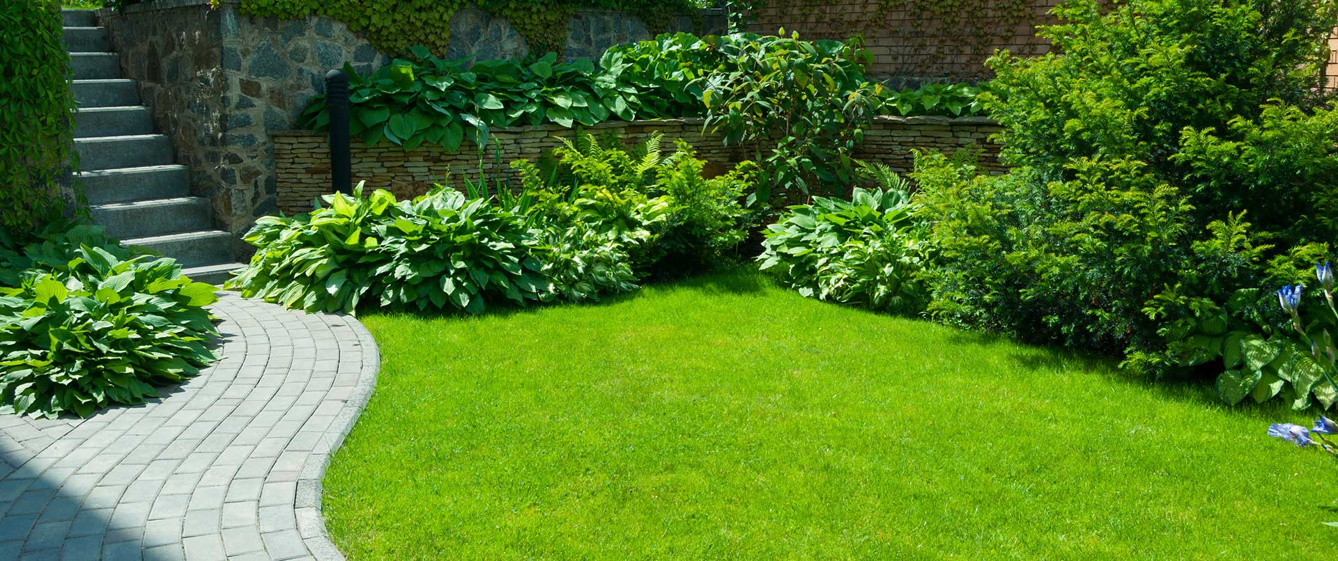 Garden stone path with grass growing up between the stones.Detail of a botanical garden.