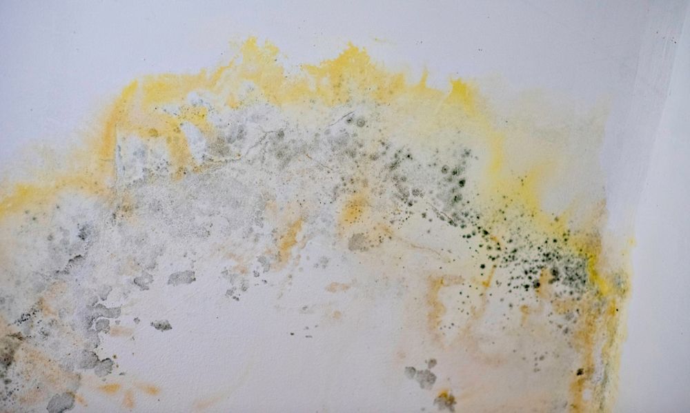 a white wall with yellow and black spots on it