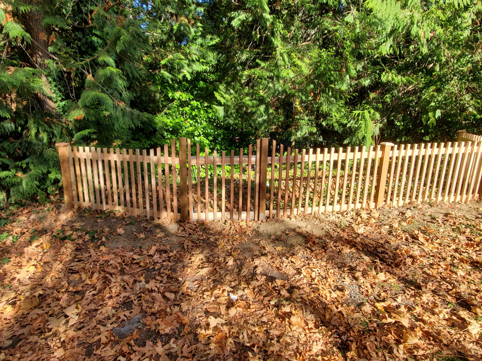 A wooden picket fence is surrounded by trees and leaves.