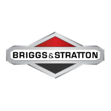 The briggs and stratton logo is on a white background.