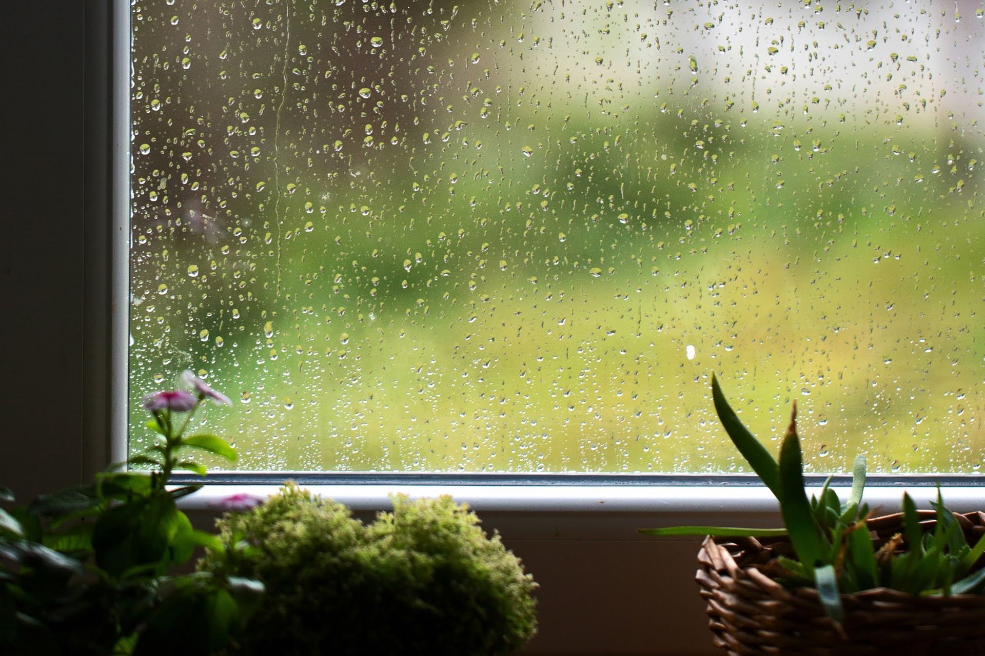 A window with rain drops on it and potted plants in front of it.