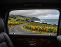 View from a car window of a winding coastal road through yellow flower fields and green hills by the ocean