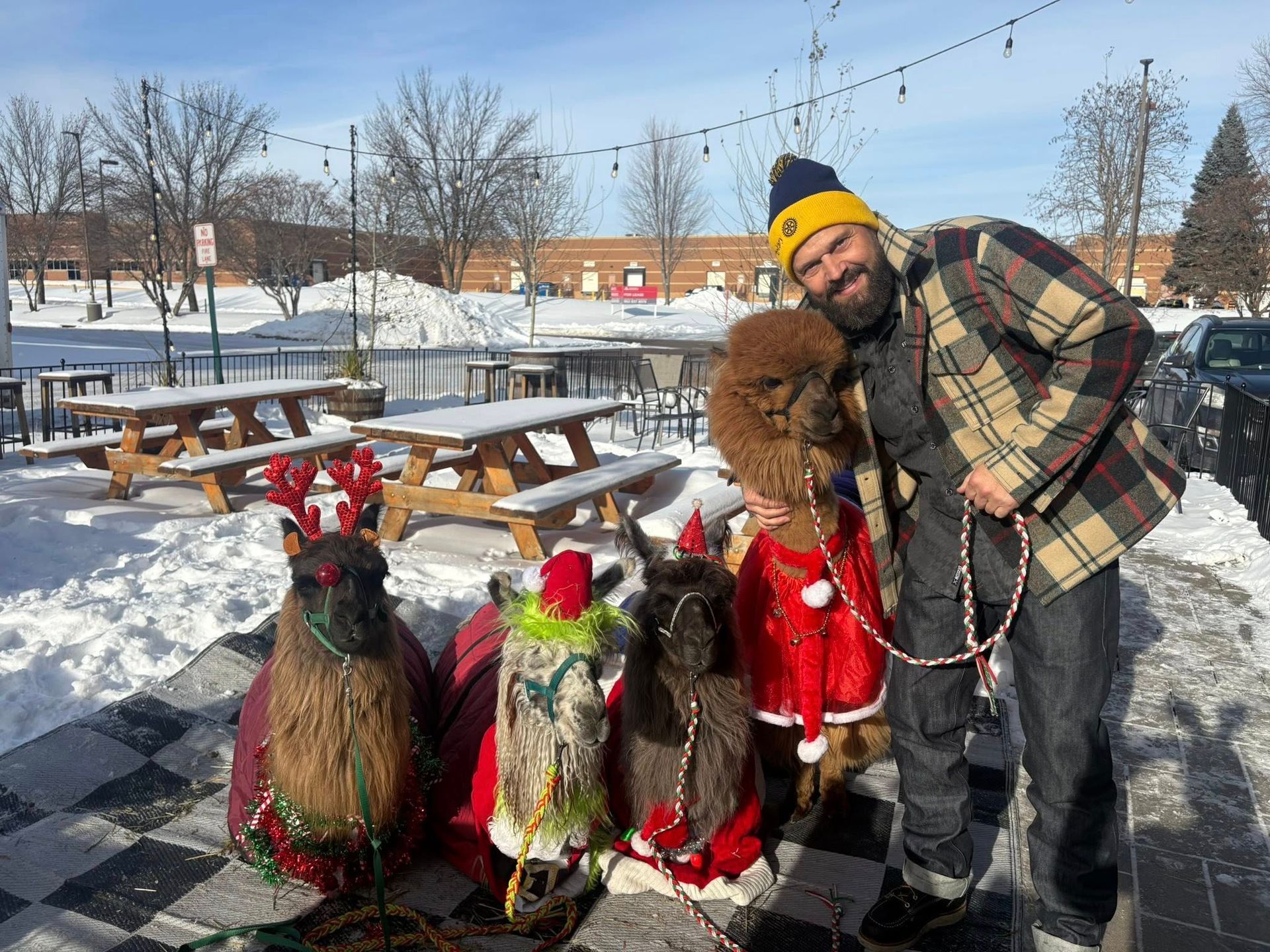 Man with beard poses with four llamas in Christmas outfits outdoors in the snow.