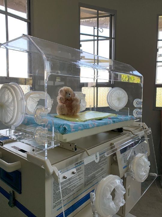 An incubator with a teddy bear inside.