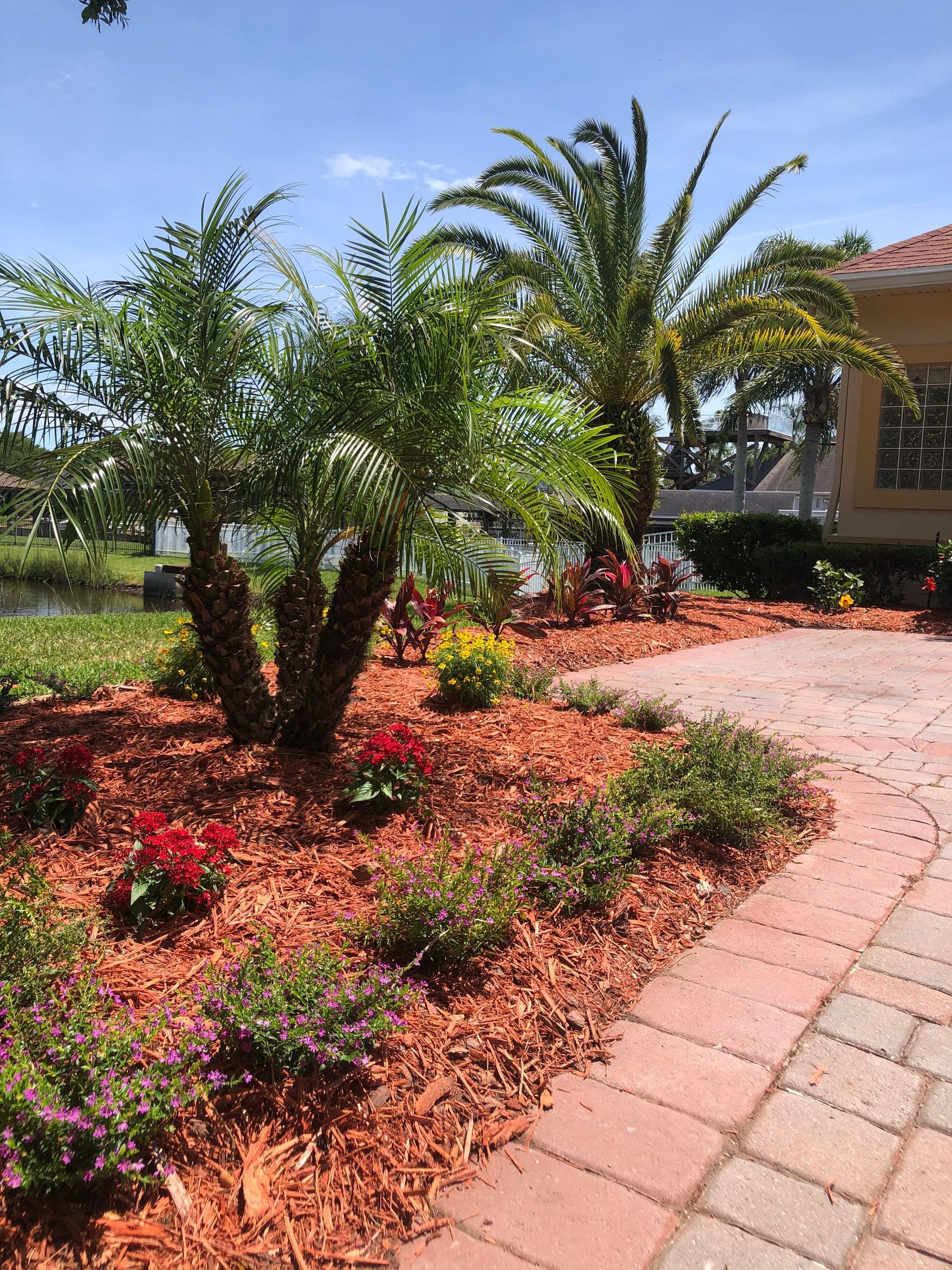 A brick walkway leading to a house with palm trees and flowers.