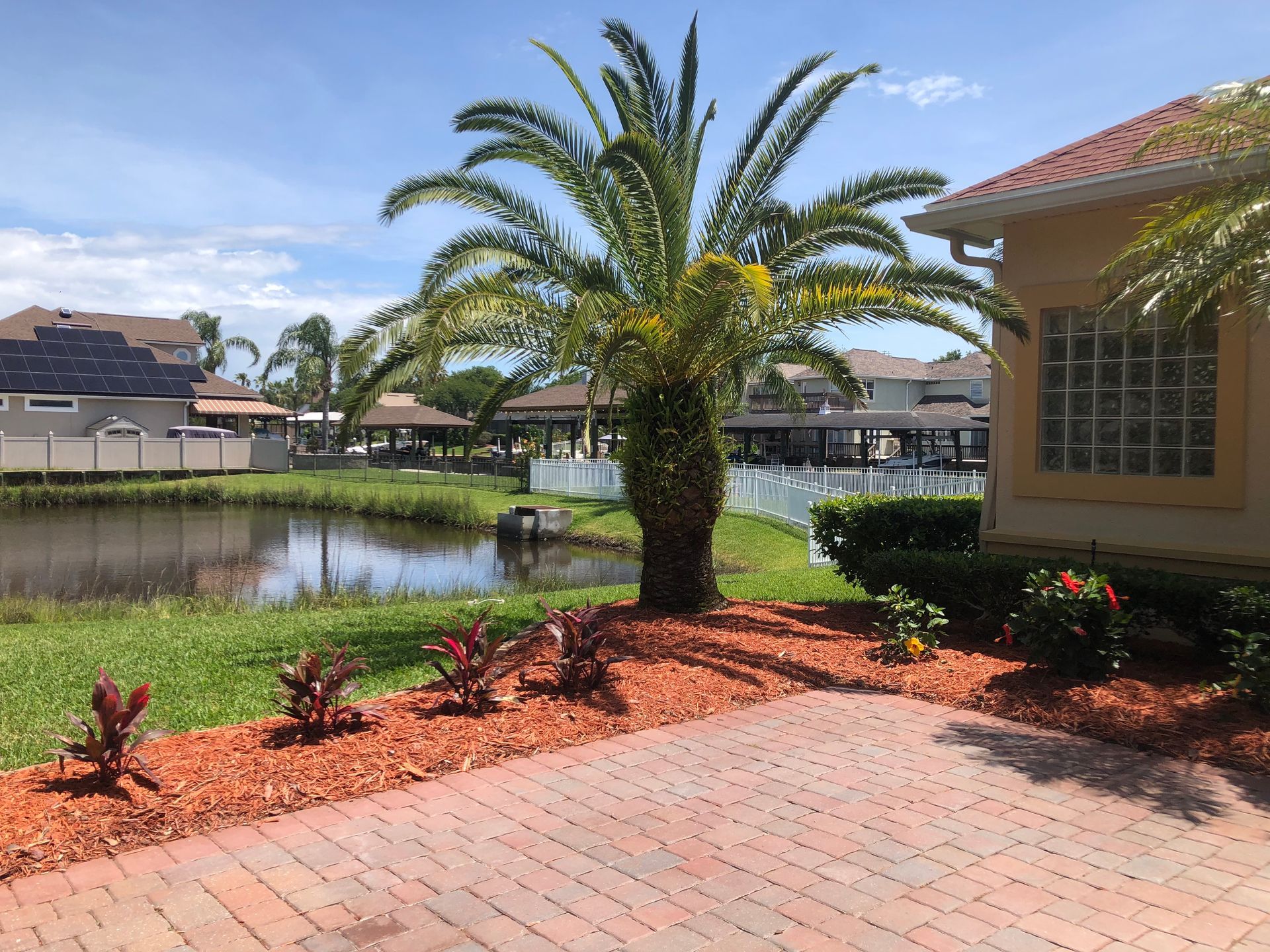 A palm tree is in front of a house with a pond in the background.