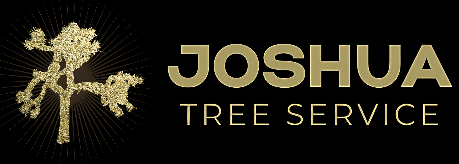 A logo for joshua tree service with a gold tree on a black background