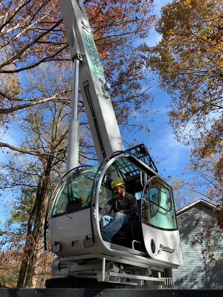 When Is Emergency Tree Removal Necessary?