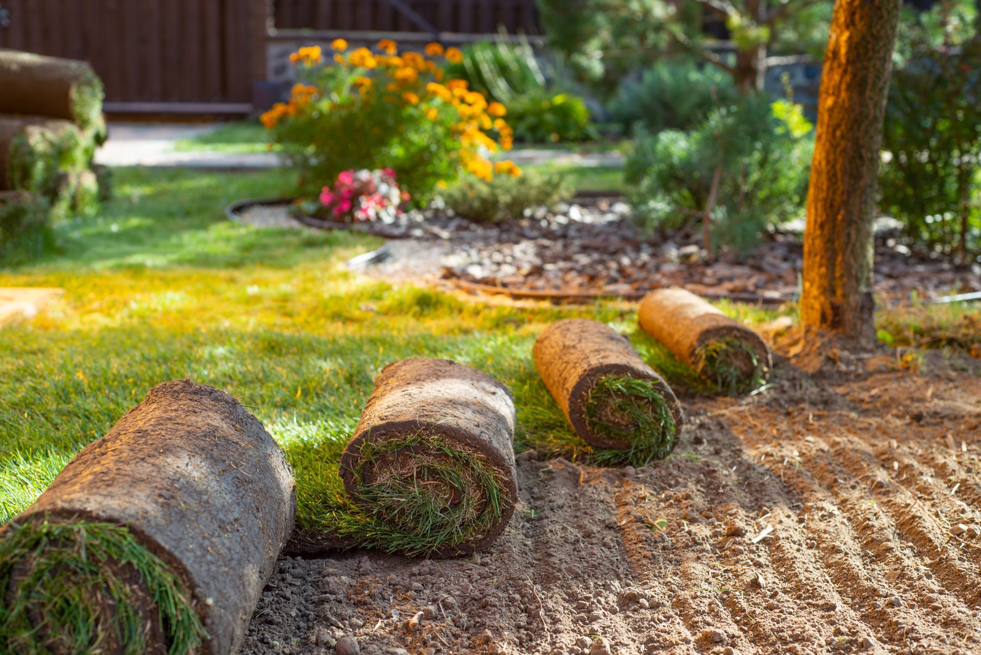 A landscaped garden with rolled logs, mulch, grass, and flowering shrubs in warm sunlight