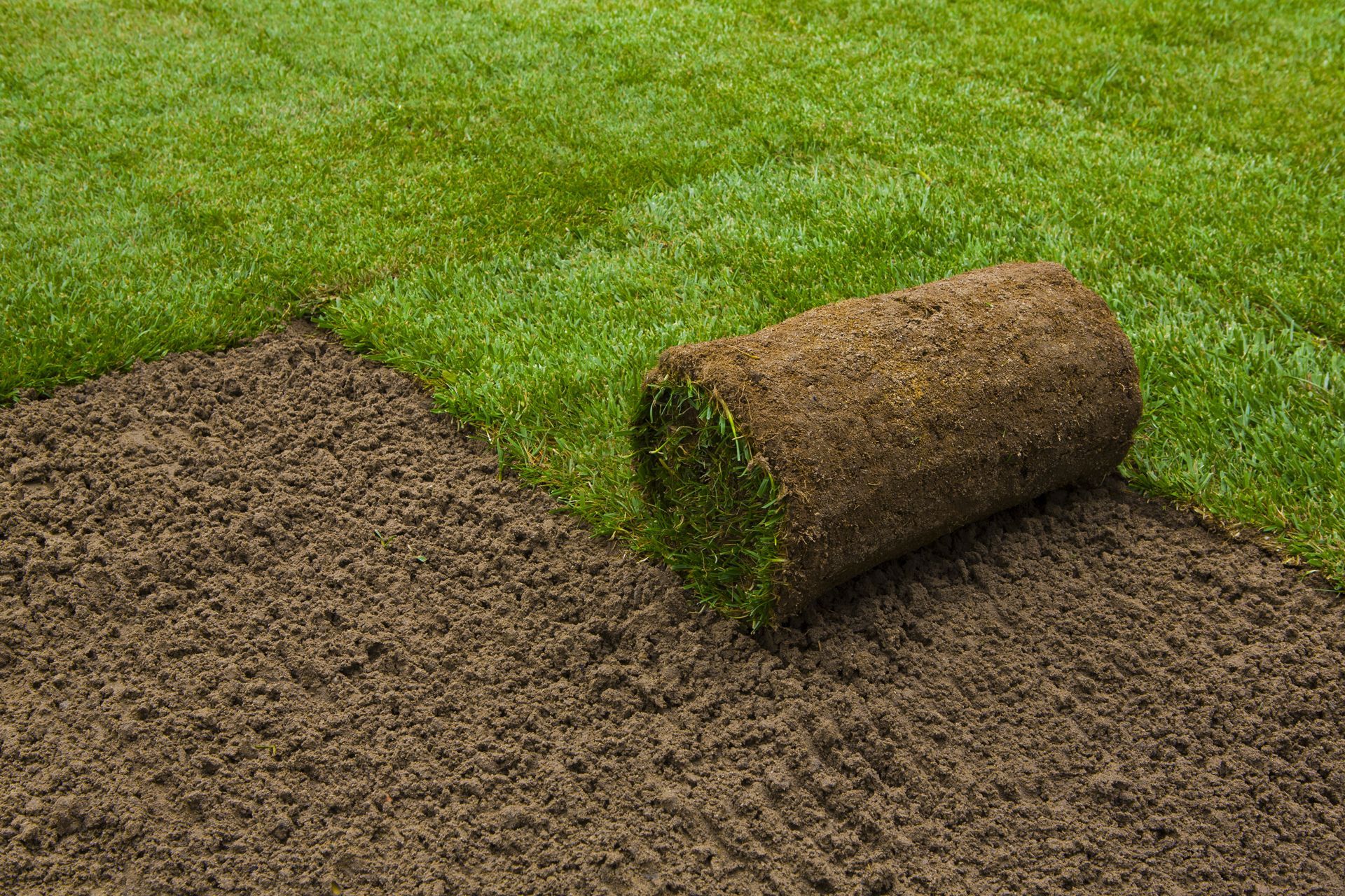 A rolled sod mat on brown soil beside a patch of green grass