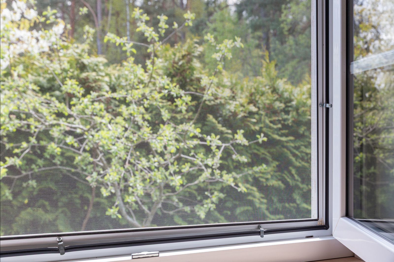 An open white-framed window with a grey mesh insect screen, looking out onto a bright green leafy tree.