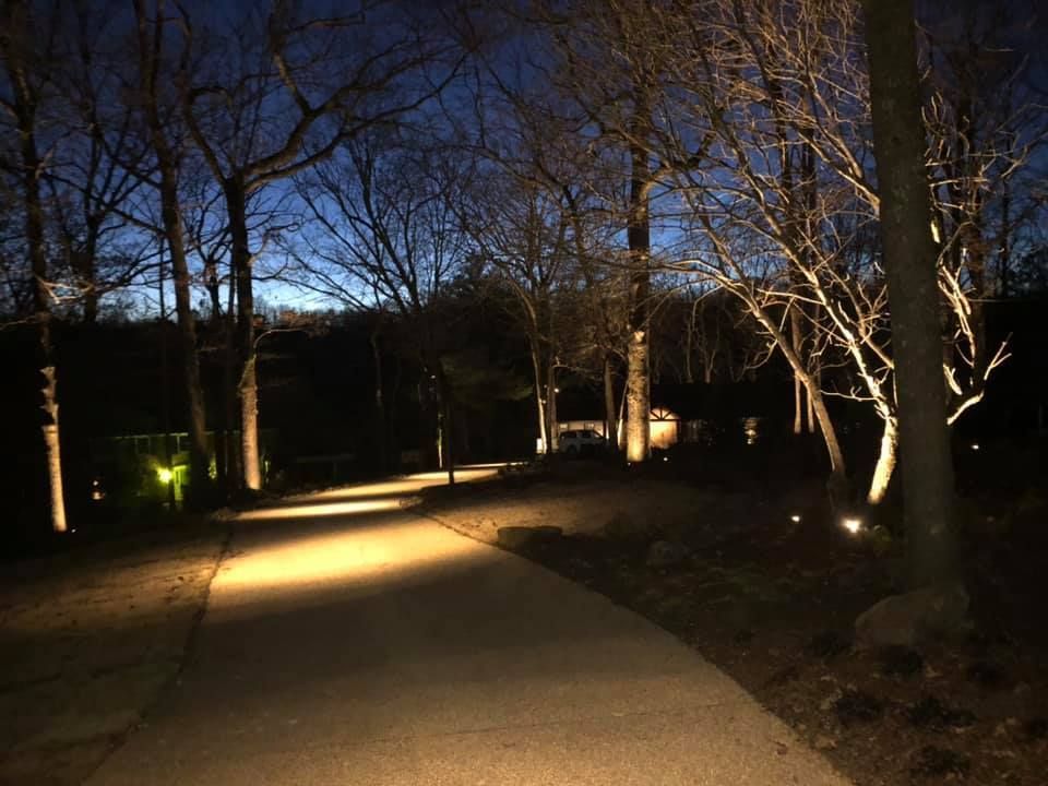 A path in the woods is lit up at night.