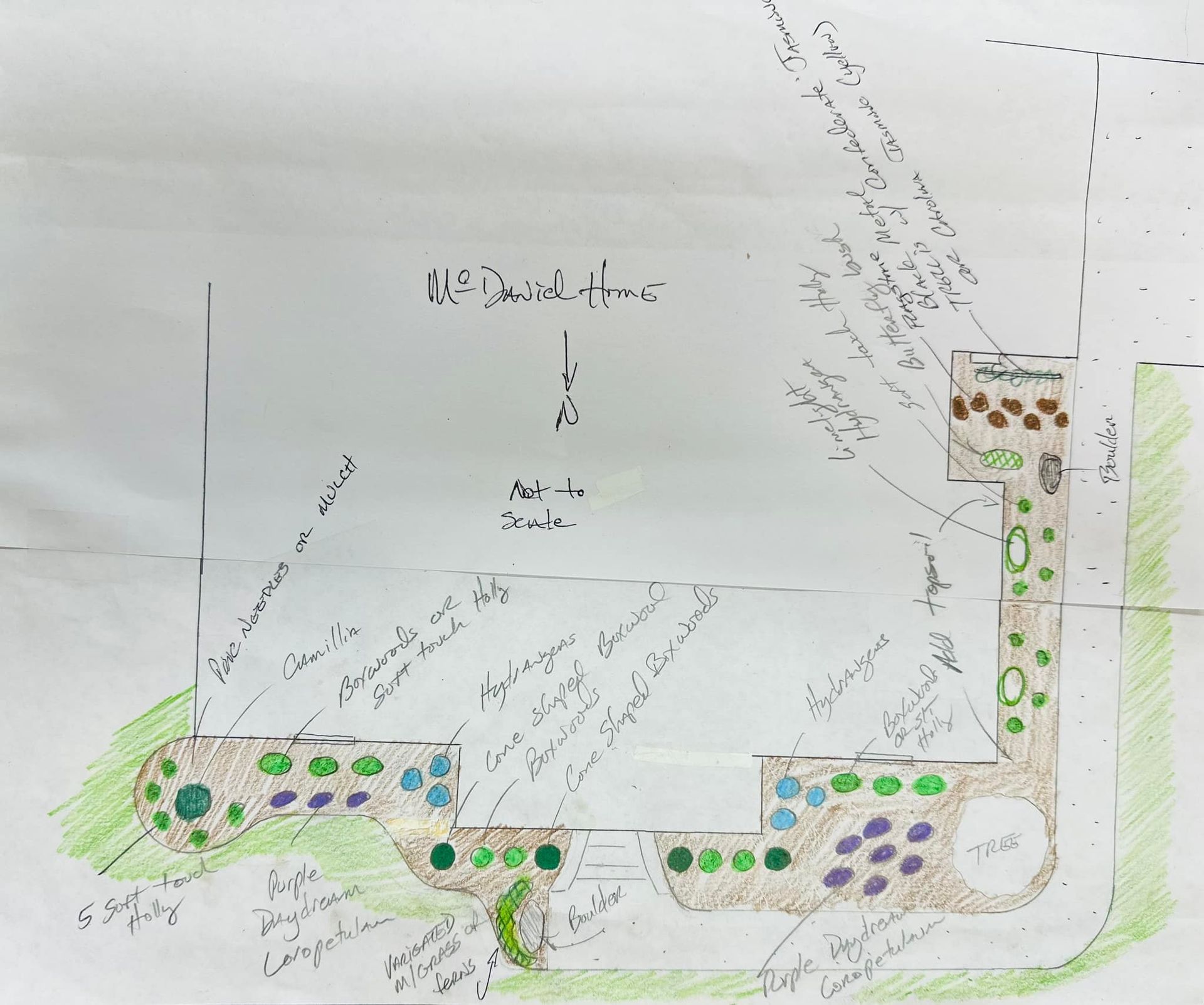A hand drawn sketch of a garden with the words 