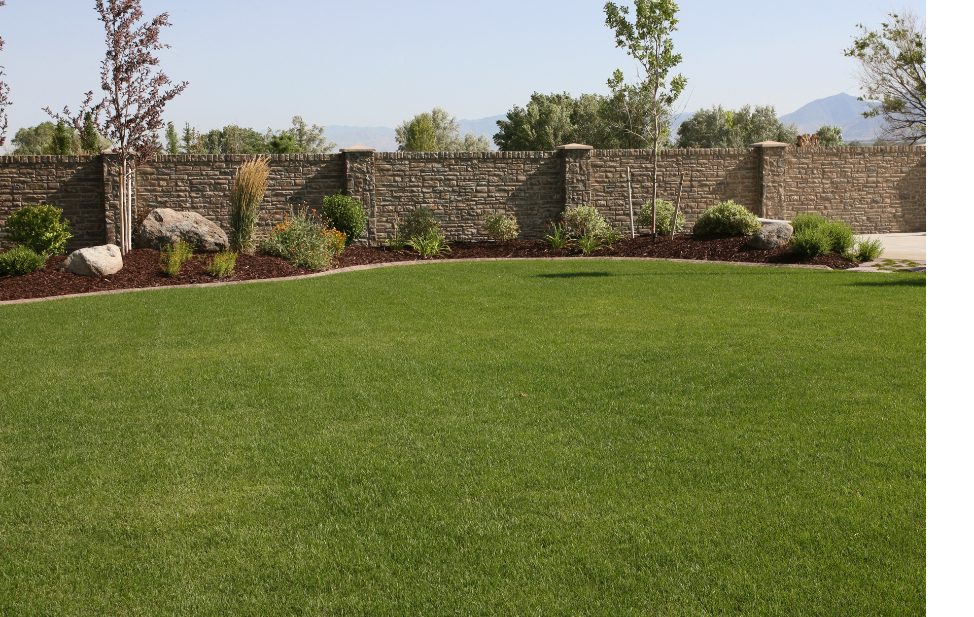 A large lawn with a stone wall in the background
