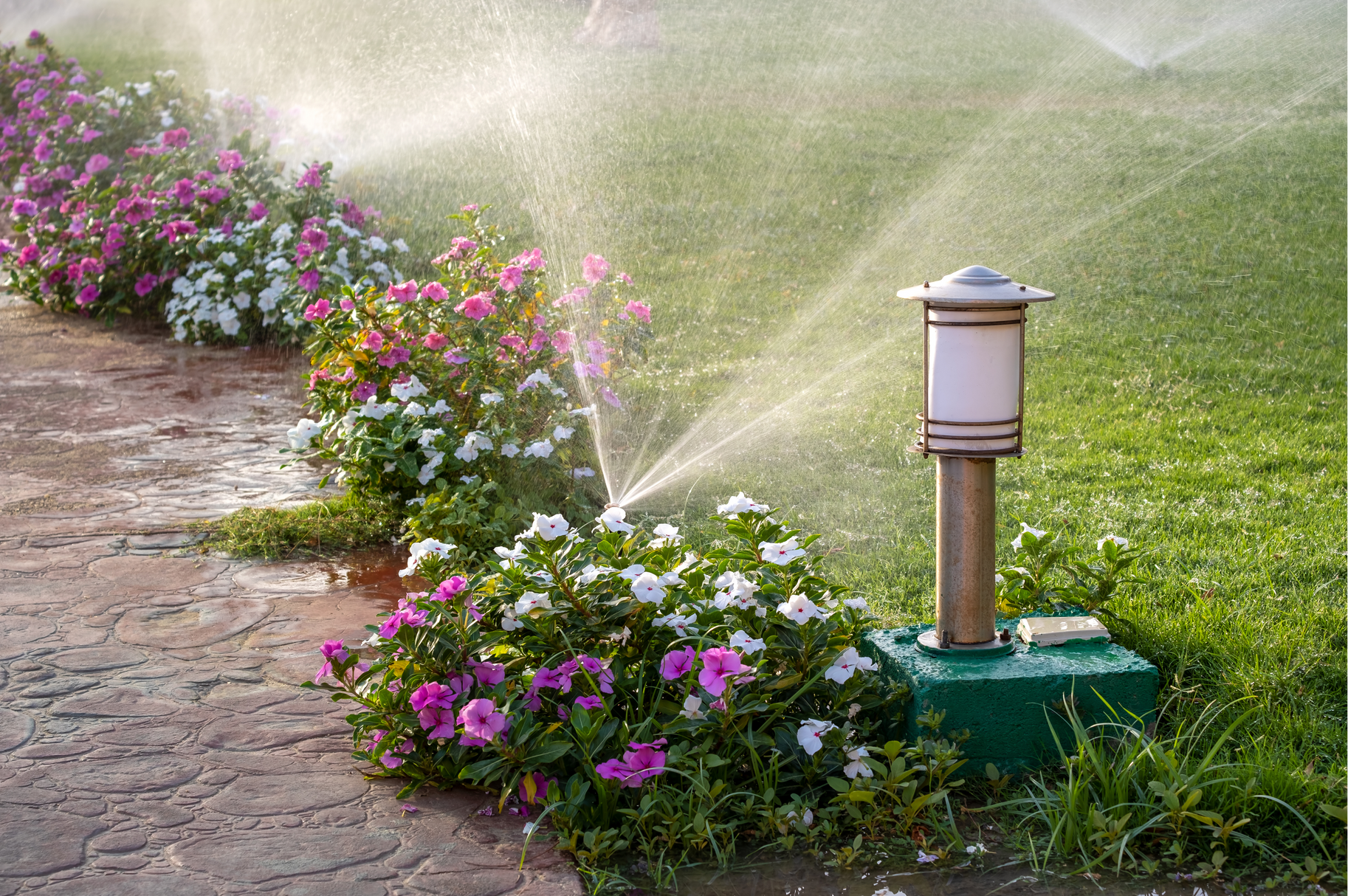 A sprinkler is spraying water on a lush green lawn.
