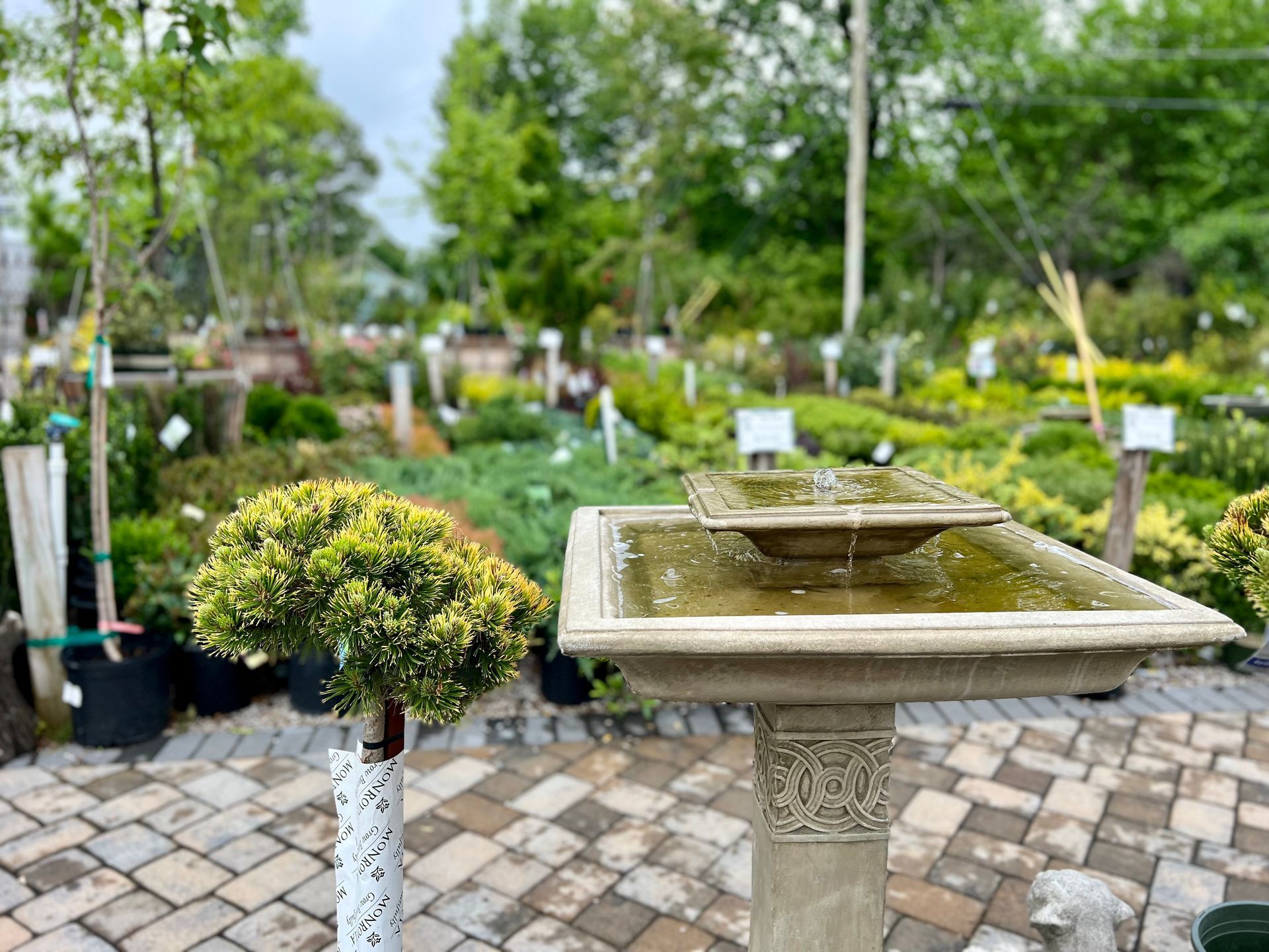 There is a fountain in the middle of a garden.