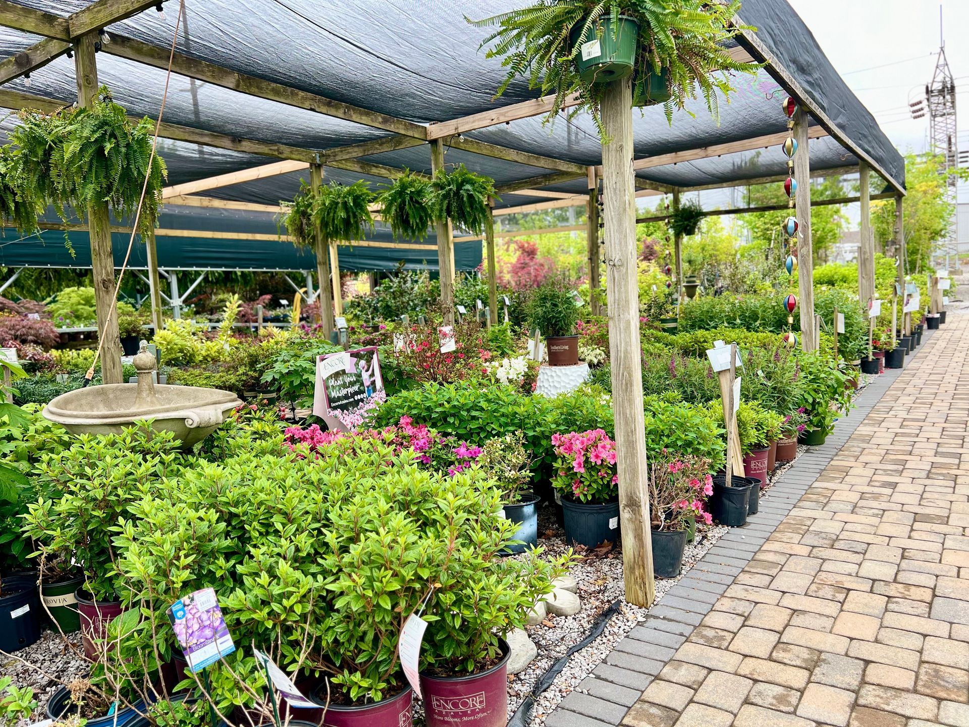 A garden center filled with lots of potted plants and flowers.
