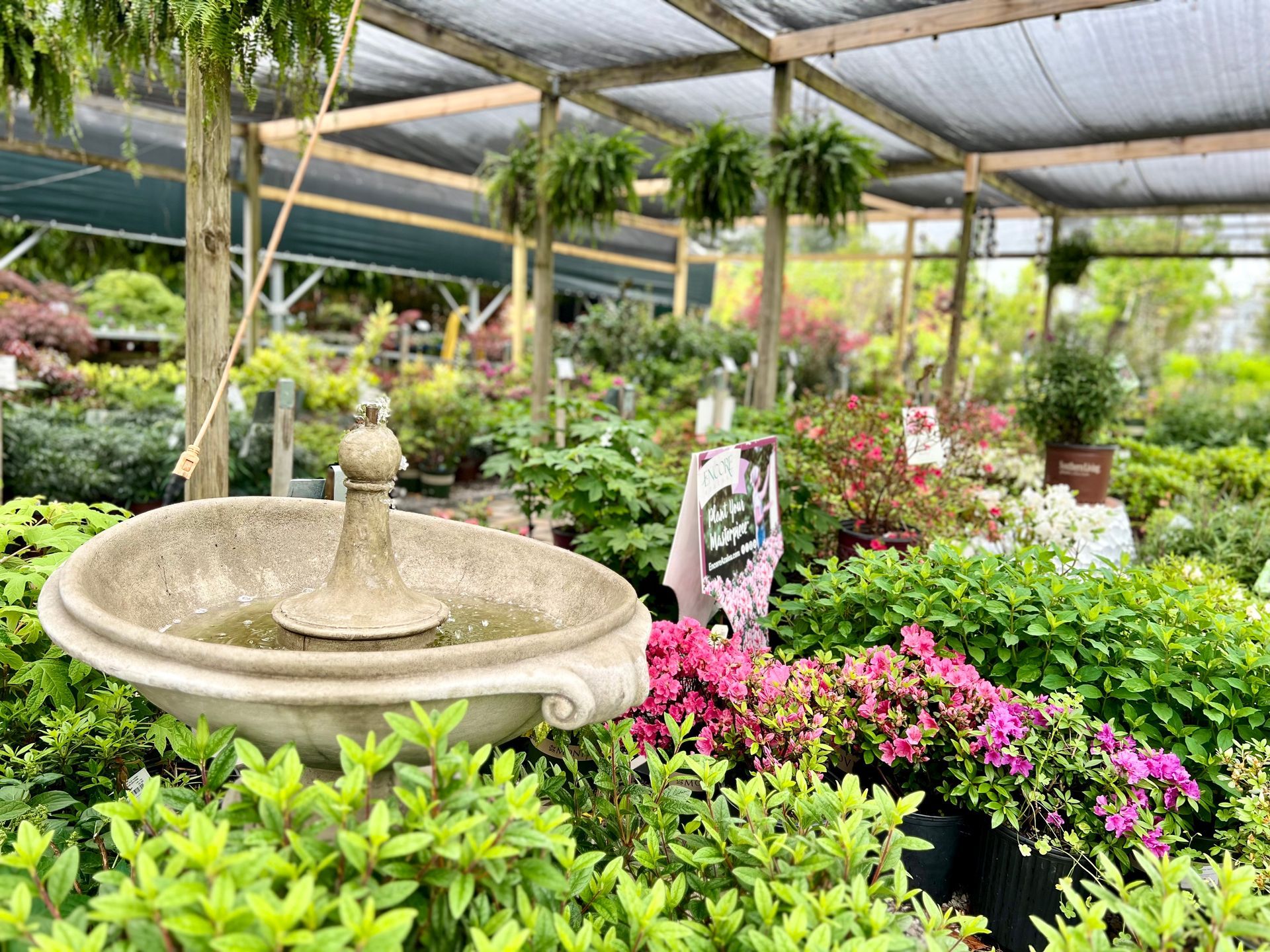 There is a fountain in the middle of a garden surrounded by plants.