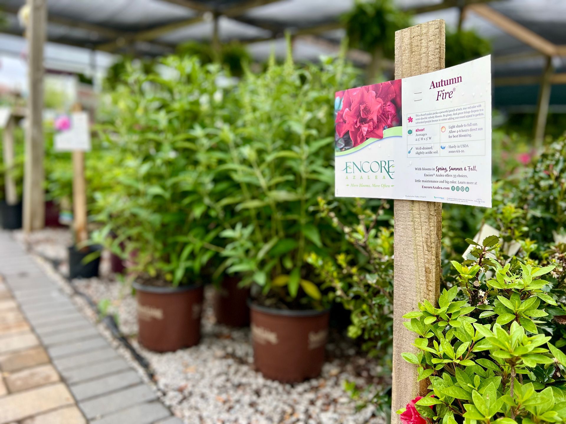 A sign on a wooden post in front of a row of potted plants.