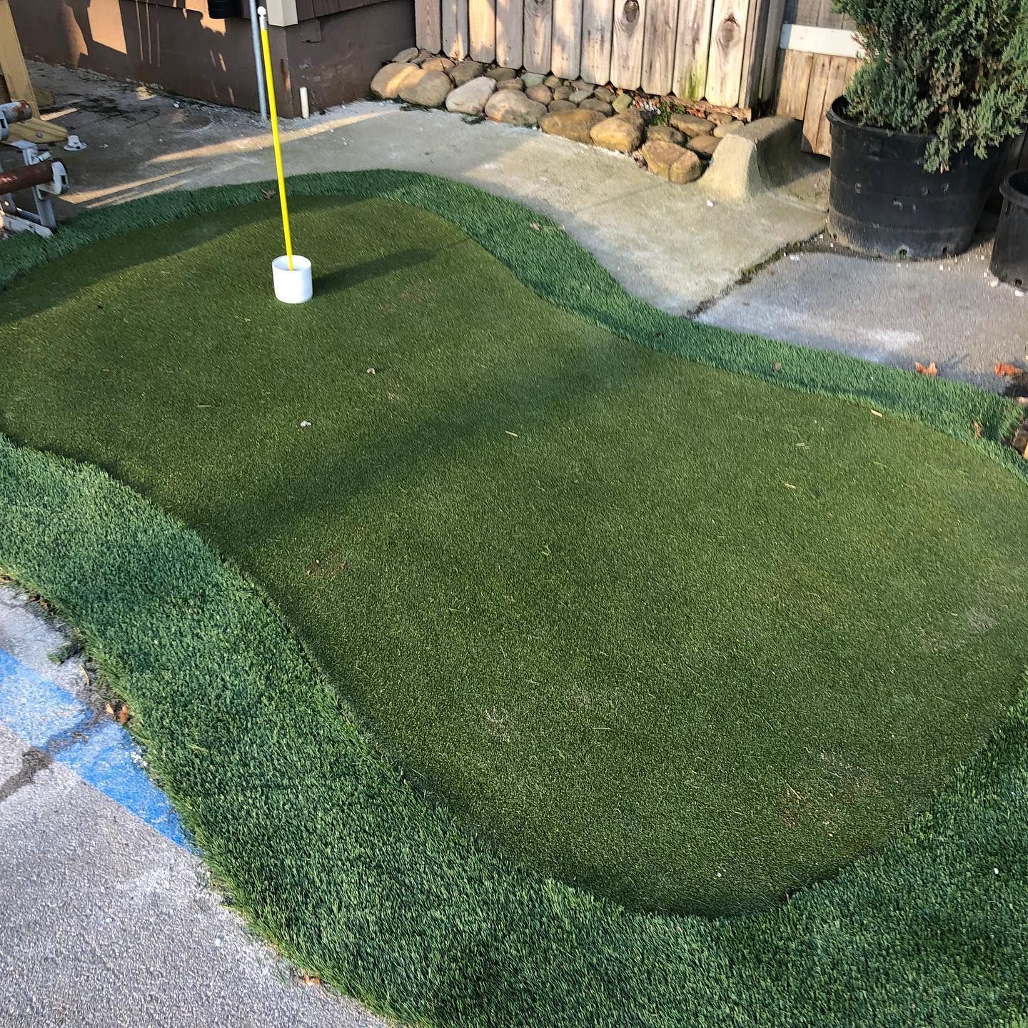 A golf ball is sitting on top of a green lawn.