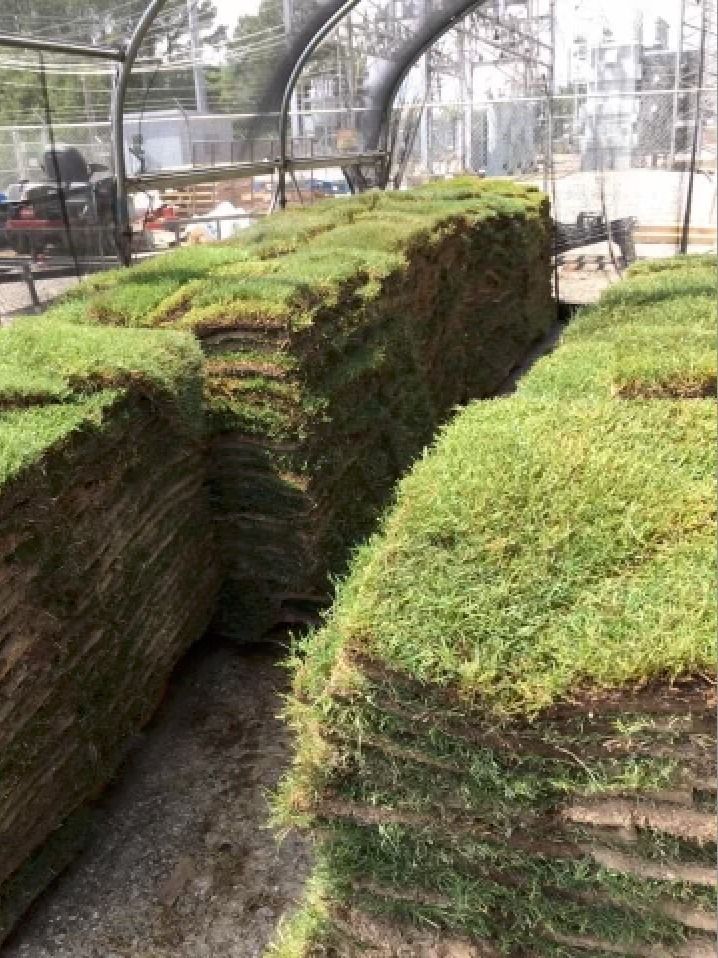 A bunch of rolls of grass are stacked on top of each other in a greenhouse.