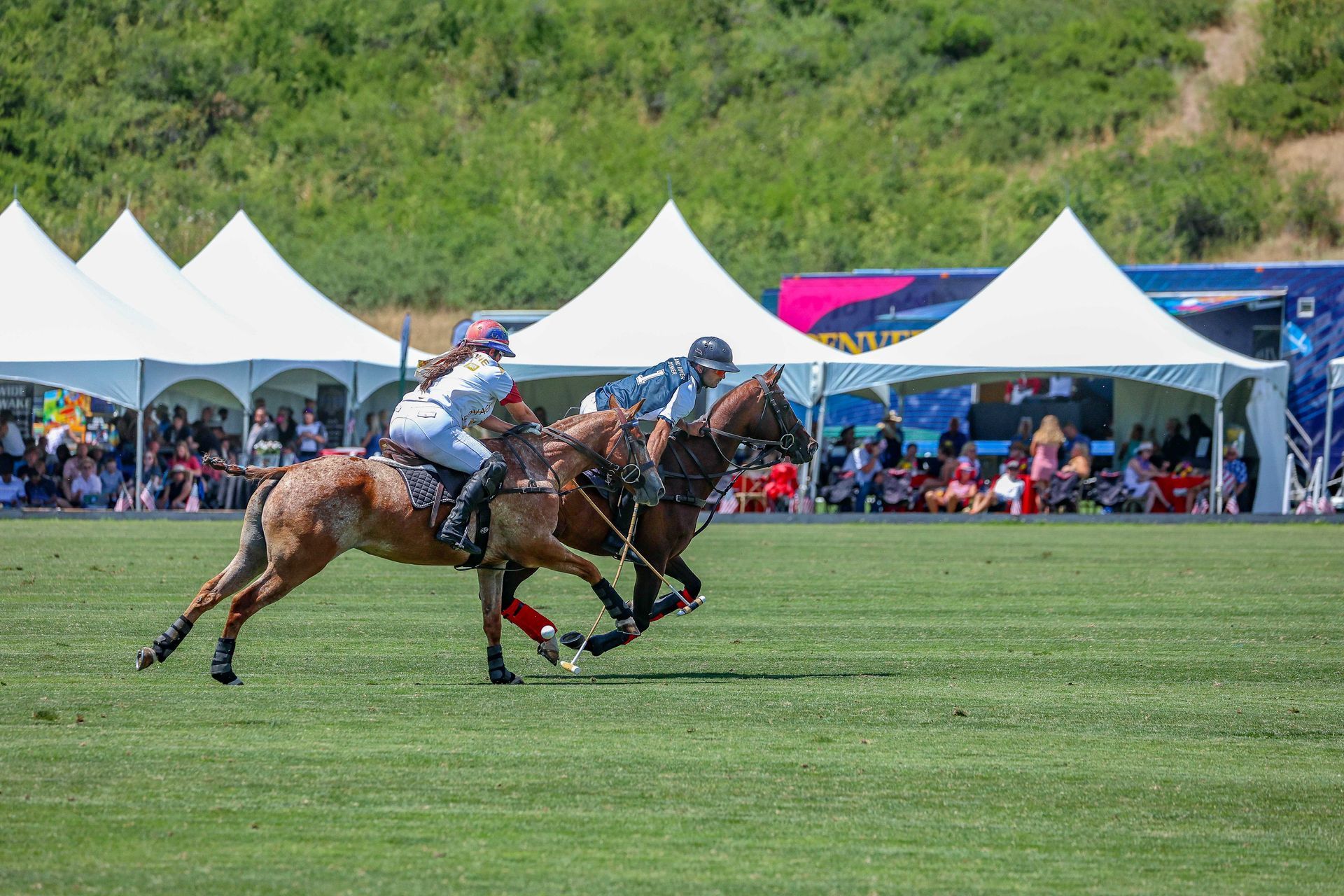 Denver Polo Club - Polo Classic Style