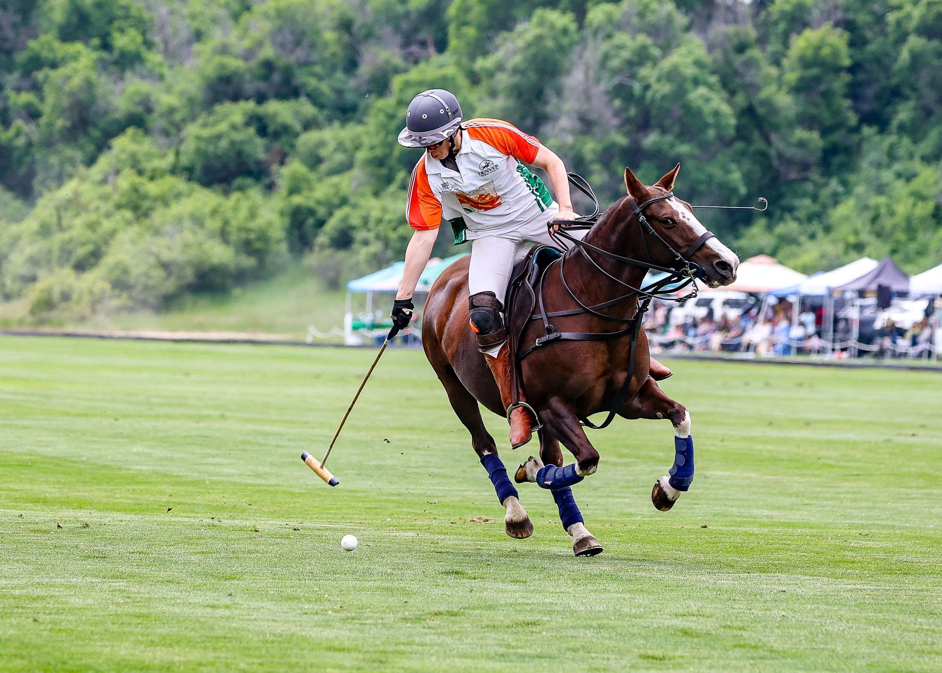 Champagne League (Per Month)