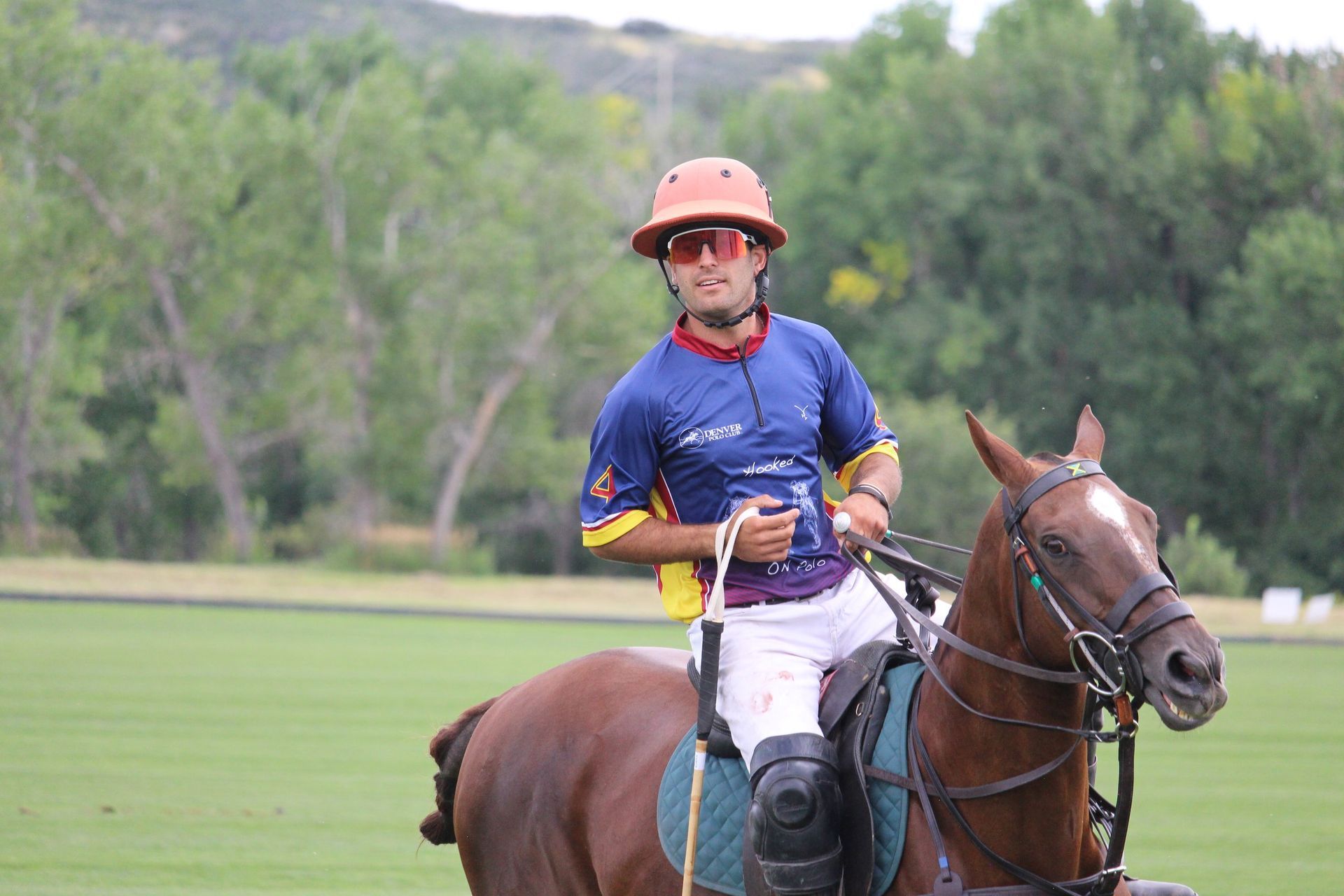 A man is riding a horse on a field.