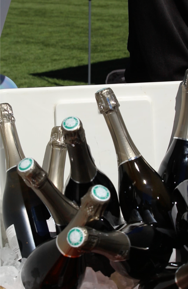 Several bottles of wine are in a cooler with ice