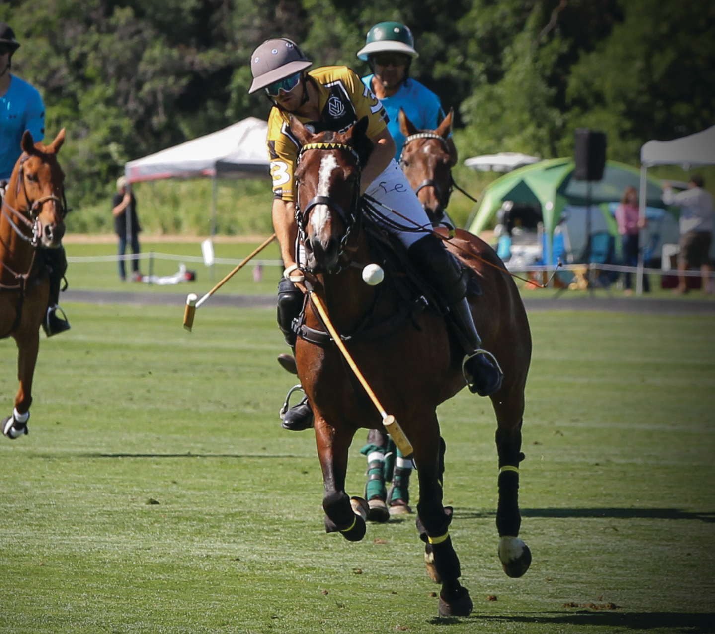 A man riding a horse playing polo on a field