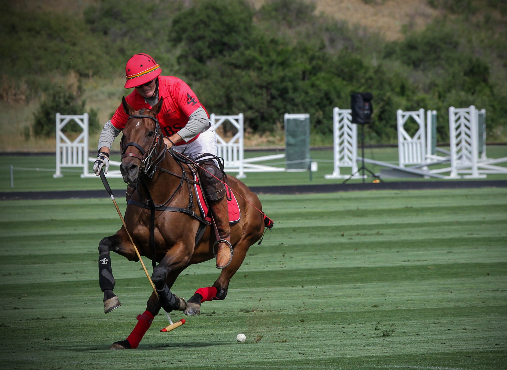 A man is riding a horse on a field while playing polo.