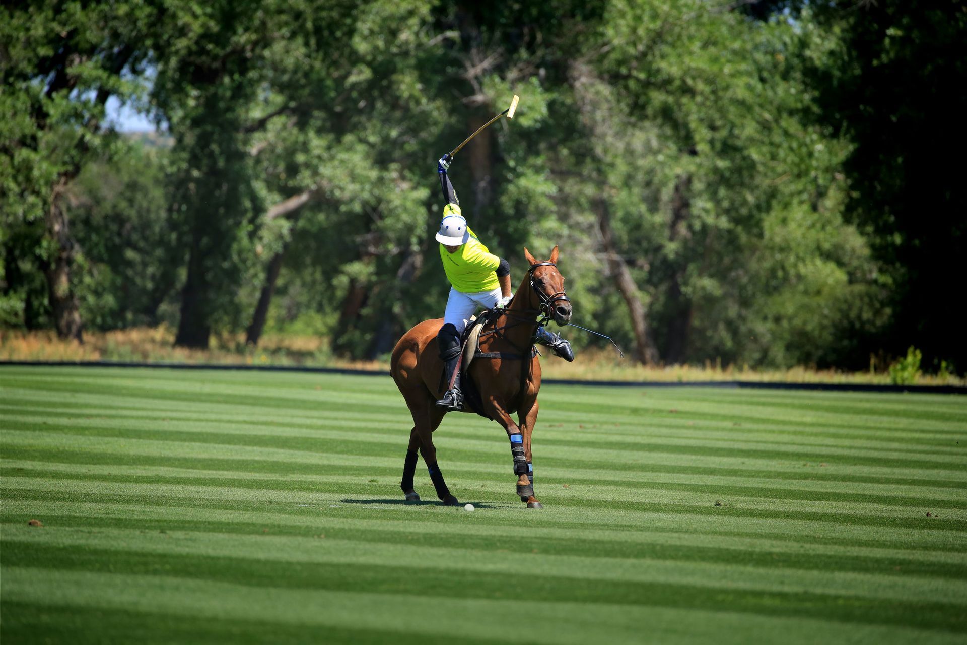 Grass Polo Lesson Package (One-on-One)