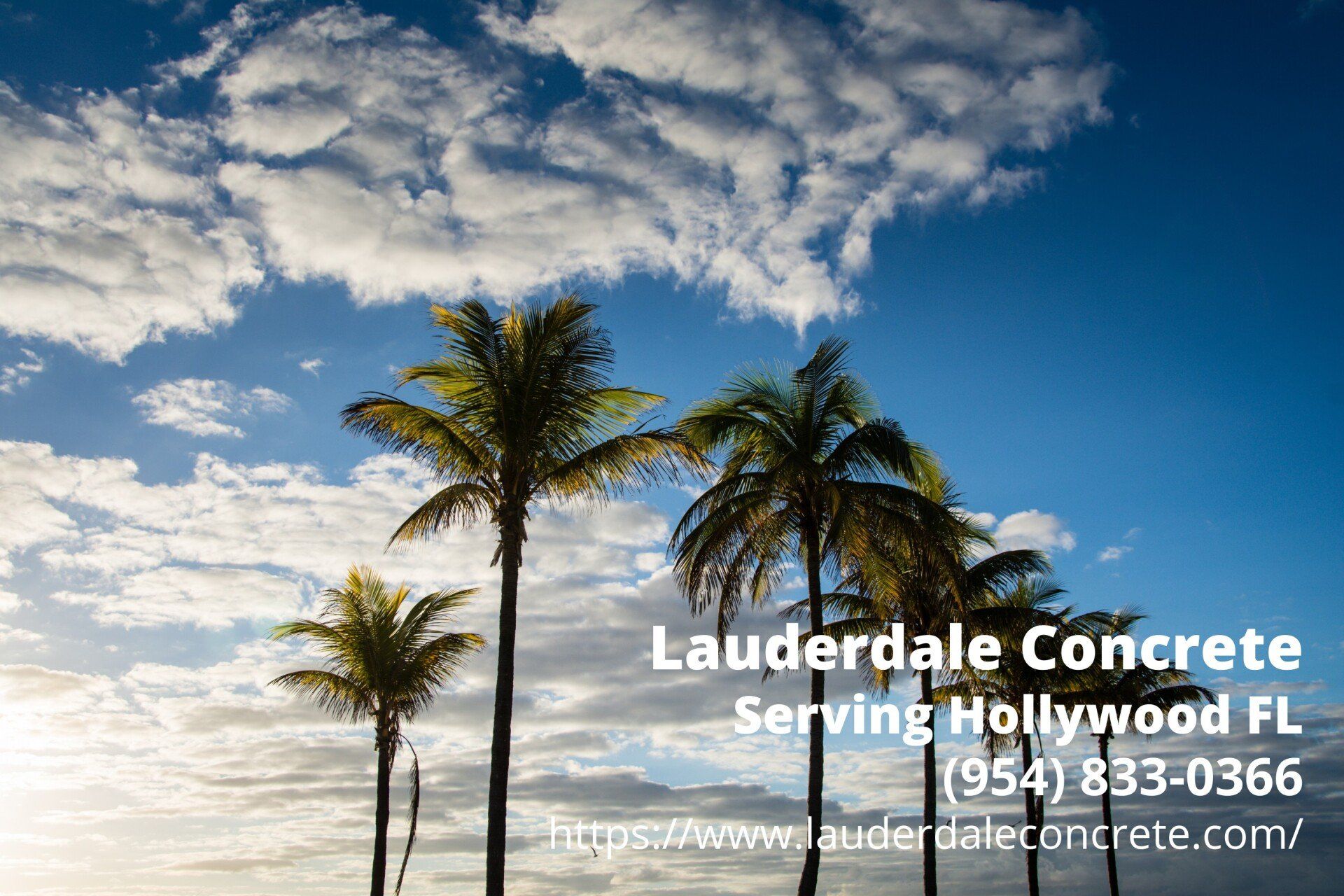 on the background of the business info of Lauderdale Concrete are the picturesque palms in Hollywood FL