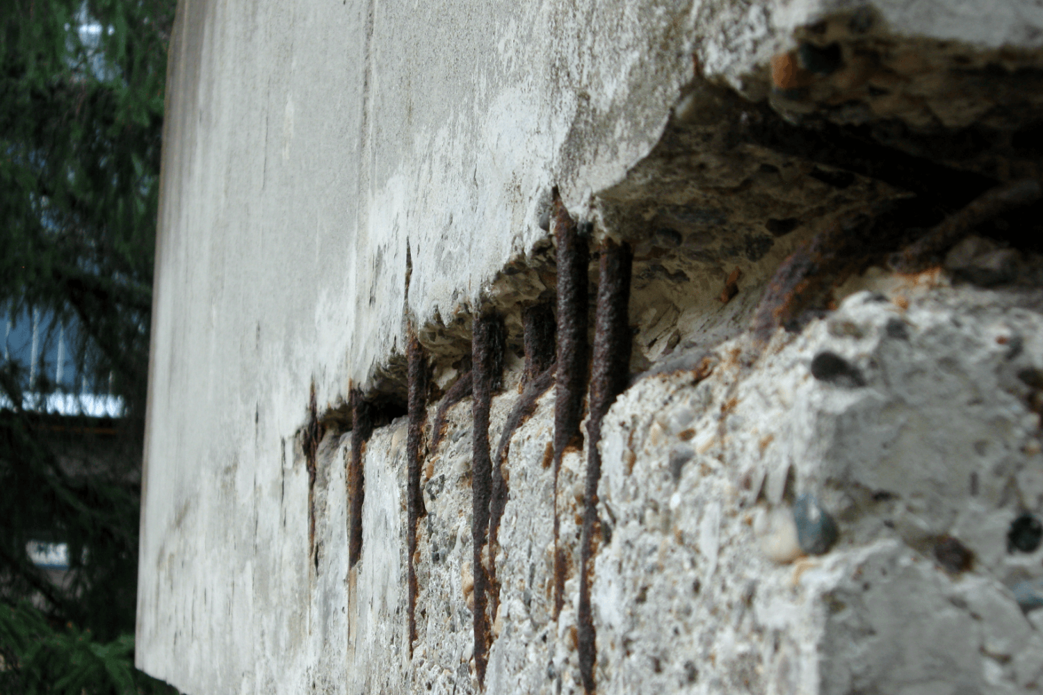 rebar spalling on beam in south florida. concrete restoration needed