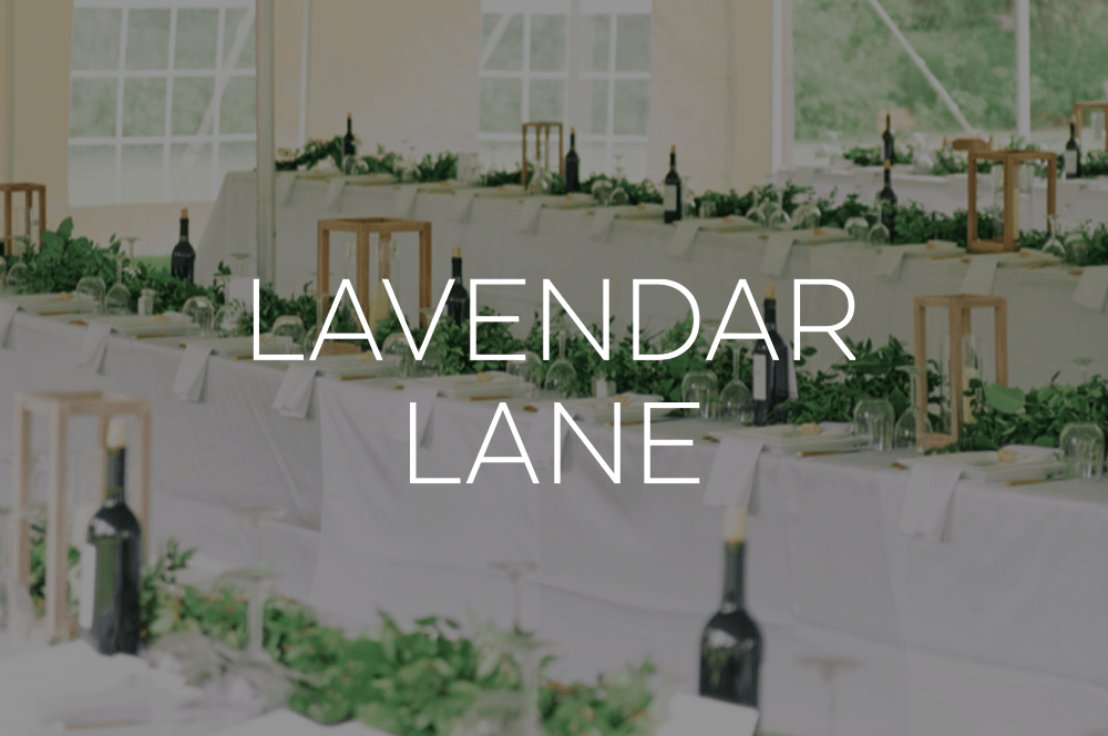Lavendar Lane